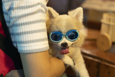 Funny dog smile with summer sunglasses.
