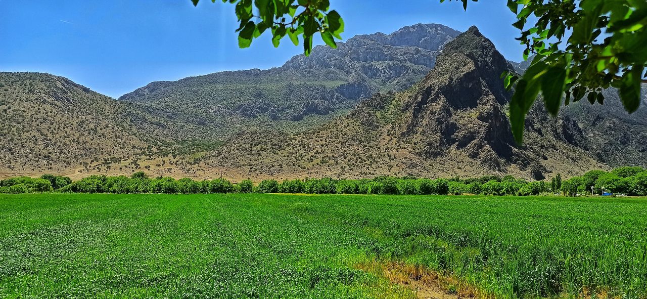 SCENIC VIEW OF FIELD AGAINST MOUNTAINS