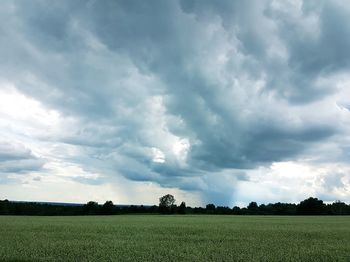 Scenic view of agricultural field against sky