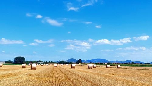 Hay bales on field against blue sky