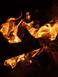 Close-up of bonfire at night