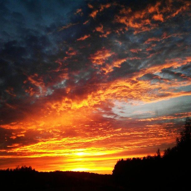 sunset, silhouette, sky, scenics, tranquil scene, beauty in nature, tranquility, cloud - sky, orange color, dramatic sky, nature, landscape, idyllic, tree, cloud, cloudy, moody sky, majestic, outdoors, no people