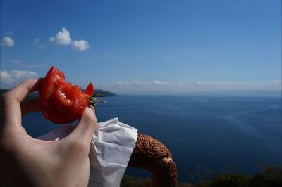 Cropped image of person holding smart phone