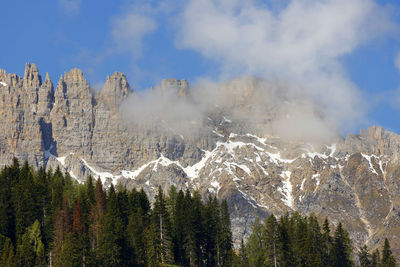 Panoramic view of trees and mountains against sky