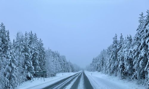 Snow covered road amidst trees against sky