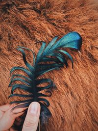 Close-up of woman holding feather