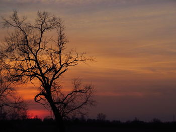 Silhouette bare tree against dramatic sky