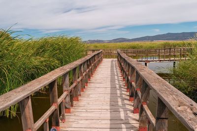 Boardwalk amidst plants on land against sky