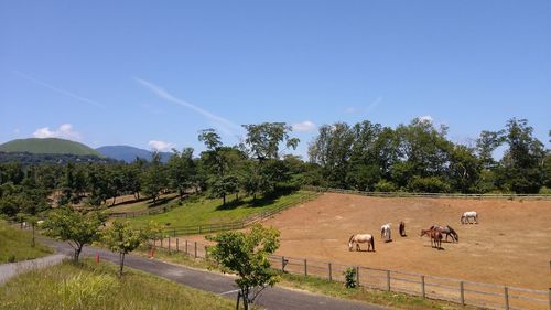 View of a field against the sky