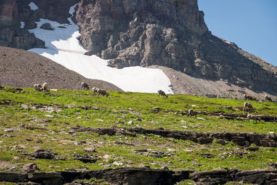 Scenic view of land against sky