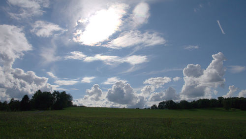 Scenic view of field against sky