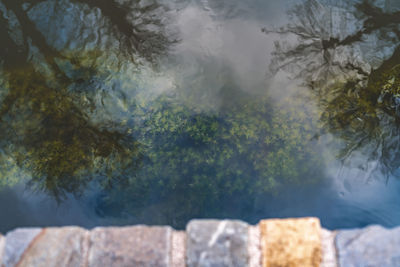 High angle view of trees by lake