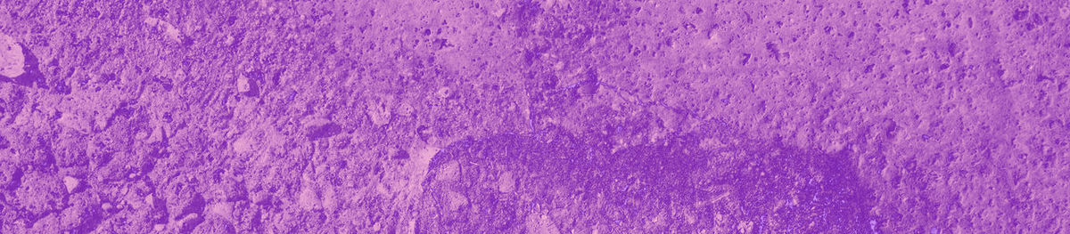 Full frame shot of purple petals
