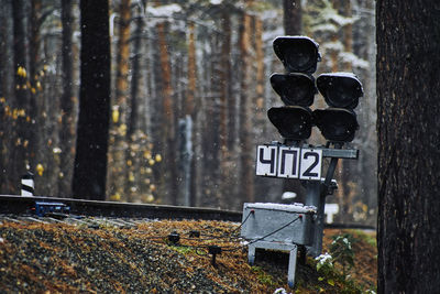 Close-up of information sign on wood in forest