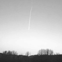 Low angle view of tree against sky