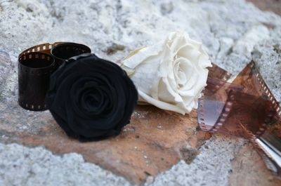 High angle view of rose on floor