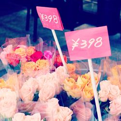 Close-up of food for sale