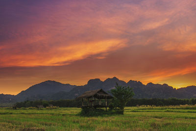 Scenic view of field against orange sky