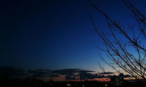 Silhouette trees against clear blue sky at night