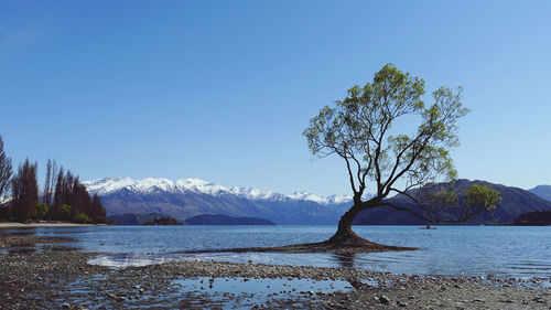 Scenic view of lake against clear blue sky