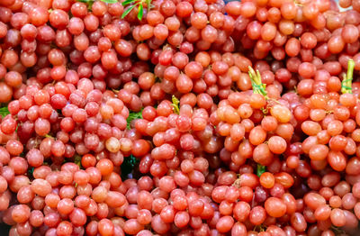 Full frame shot of fruits at market stall