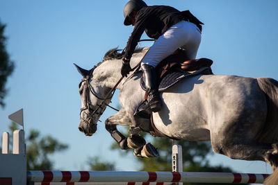 Full length of jockey jumping horse over hurdles against sky