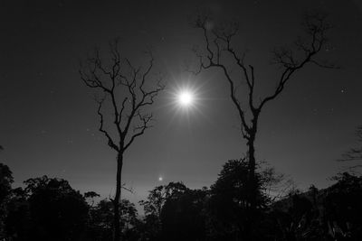 Low angle view of silhouette trees against sky