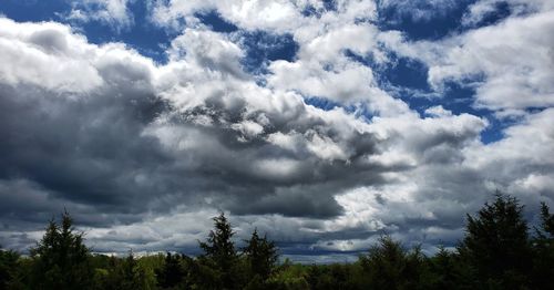 Low angle view of trees against cloudy sky