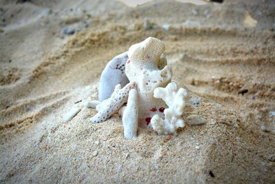 Close-up of sand at beach