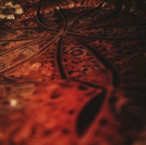 Close up of red leaf