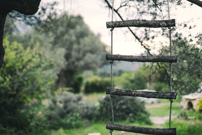 Close-up of swing hanging on tree in field