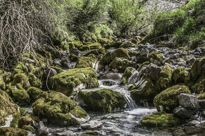 stream