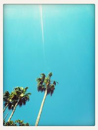 Low angle view of trees against clear blue sky