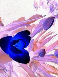 Close-up of multi colored wall