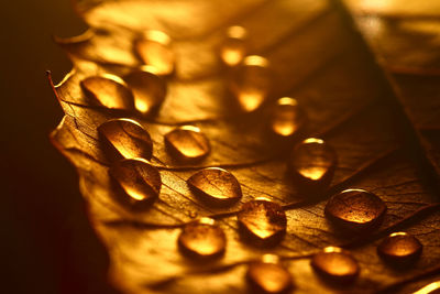 Close-up of coins on table