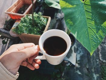 High angle view of person holding tea cup