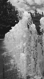 Scenic view of trees against sky