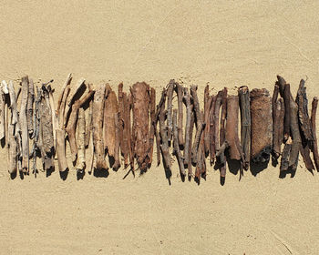 Directly above shot of sticks and driftwood on sand