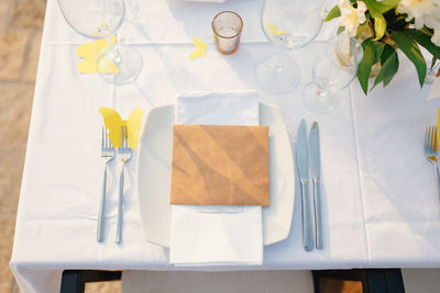 High angle view of white and potted plant on table