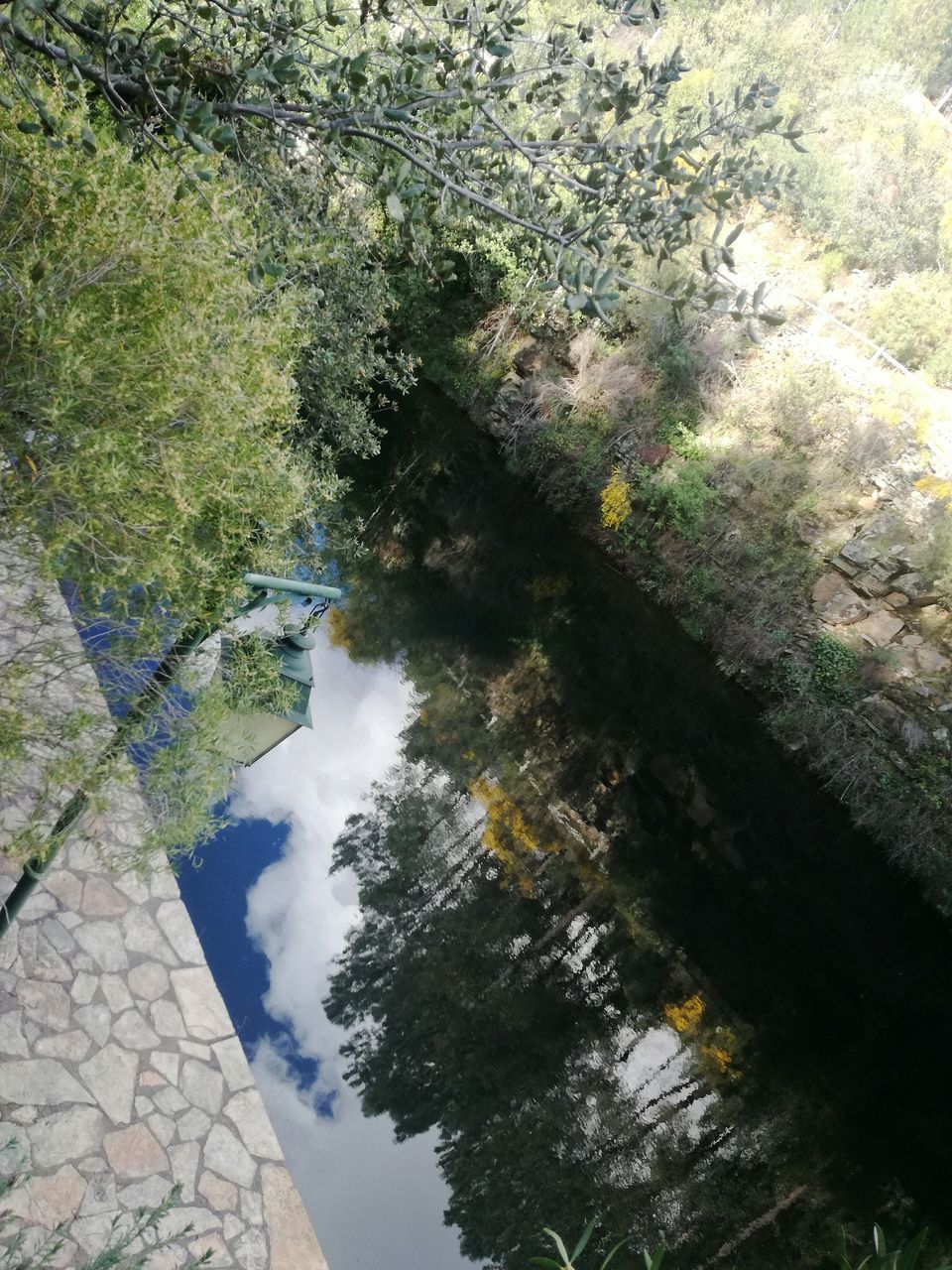 reflection, water, tree, outdoors, nature, day, no people, puddle, sky