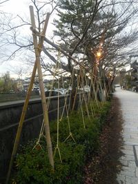 Bare trees in city against sky