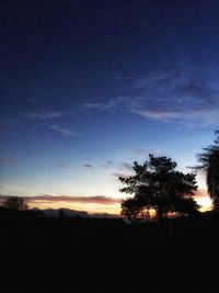 Silhouette of trees on landscape at sunset