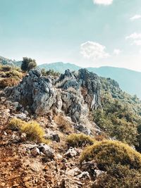 Scenic view of landscape against rocks