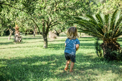 Rear view of boy walking in park