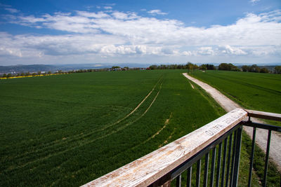 Scenic view of agricultural field against sky