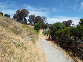 Footpath amidst trees on field against sky