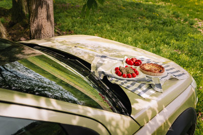 Picnic with easter food and eggs on car. car trip. 