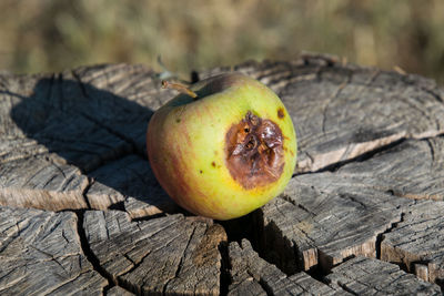 Close-up of apple on tree