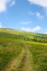 Scenic view of field against sky