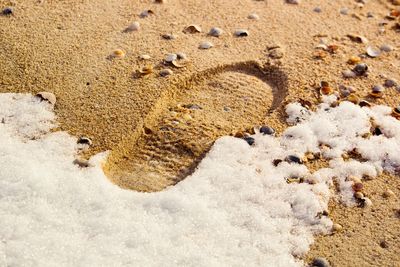 High angle view of footprint on sand by snow during sunny day